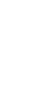 Leaf Png